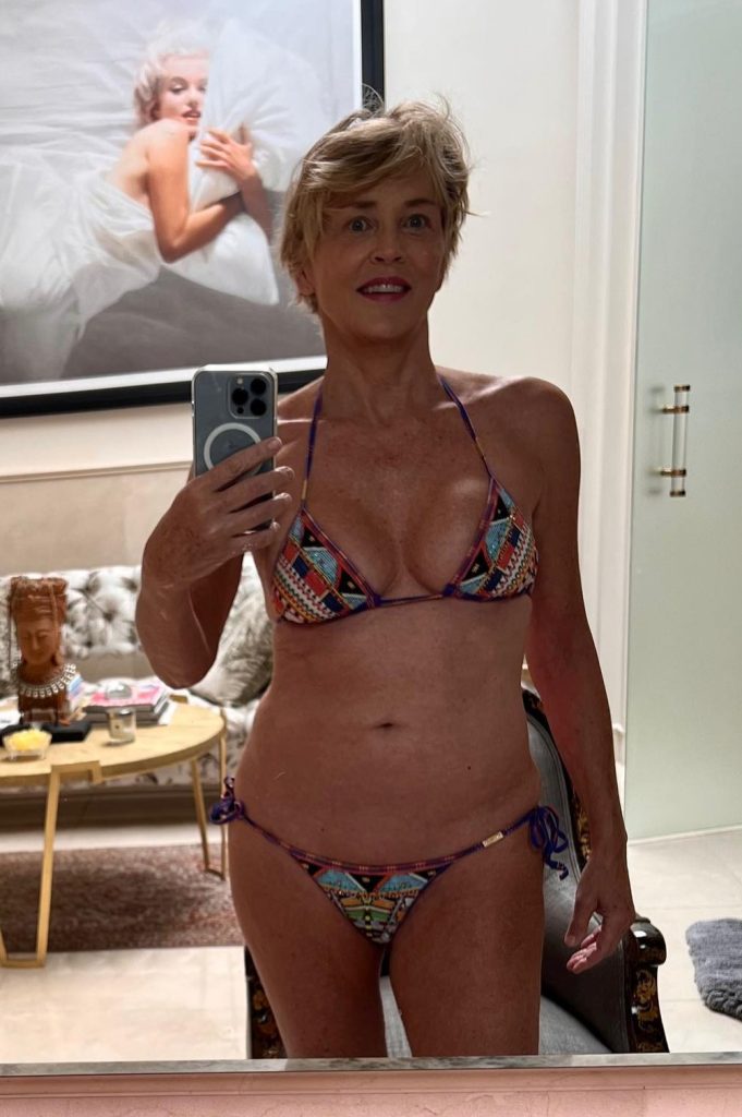 Sharon Stone Plastic Surgery Boob Job Plastic Surgery Stars